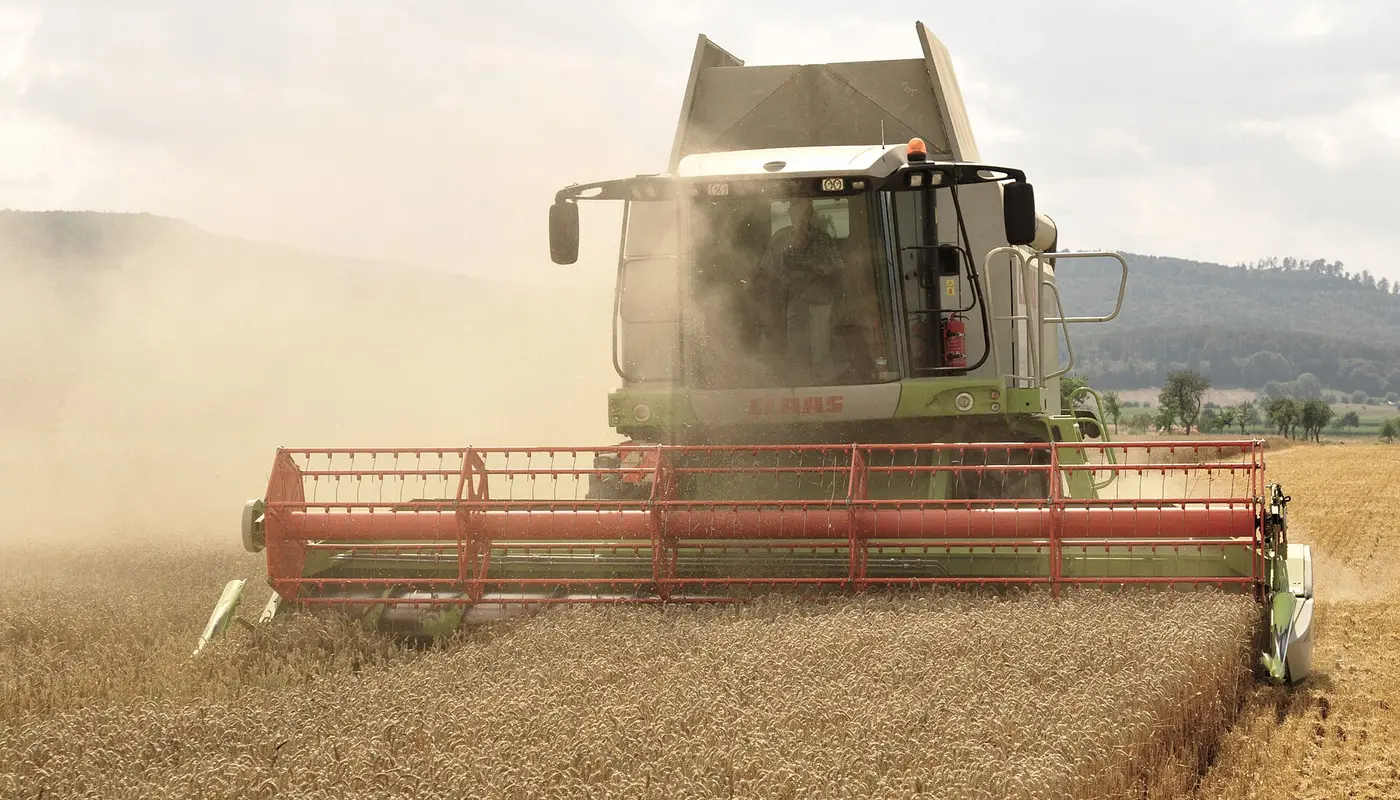 The combine Claas Lexion 584 in the wheat harvest